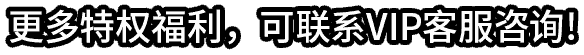 更多特权福利，可联系VIP客服咨询